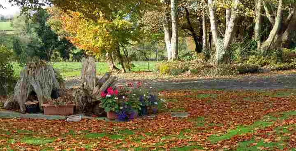 ILO Independent Living Options